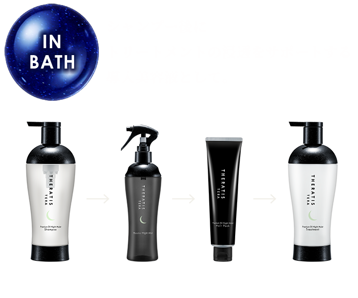 THERATIS TERA Premium EX Night Moist(セラティス テラ プレミアムEX