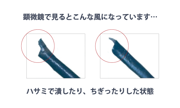 スキ率10%】究極のセニング | セニングレボリューション