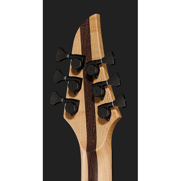 Mayones Guitars Duvell Elite 4Ever 6 PB – United States