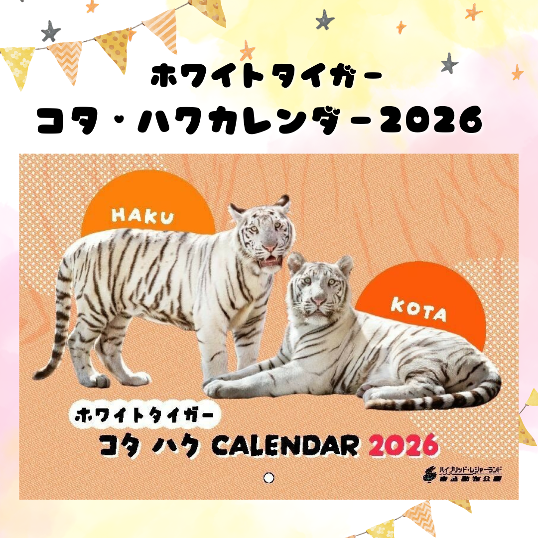 ホワイトタイガーのコタ・ハク 2026年オリジナルカレンダー