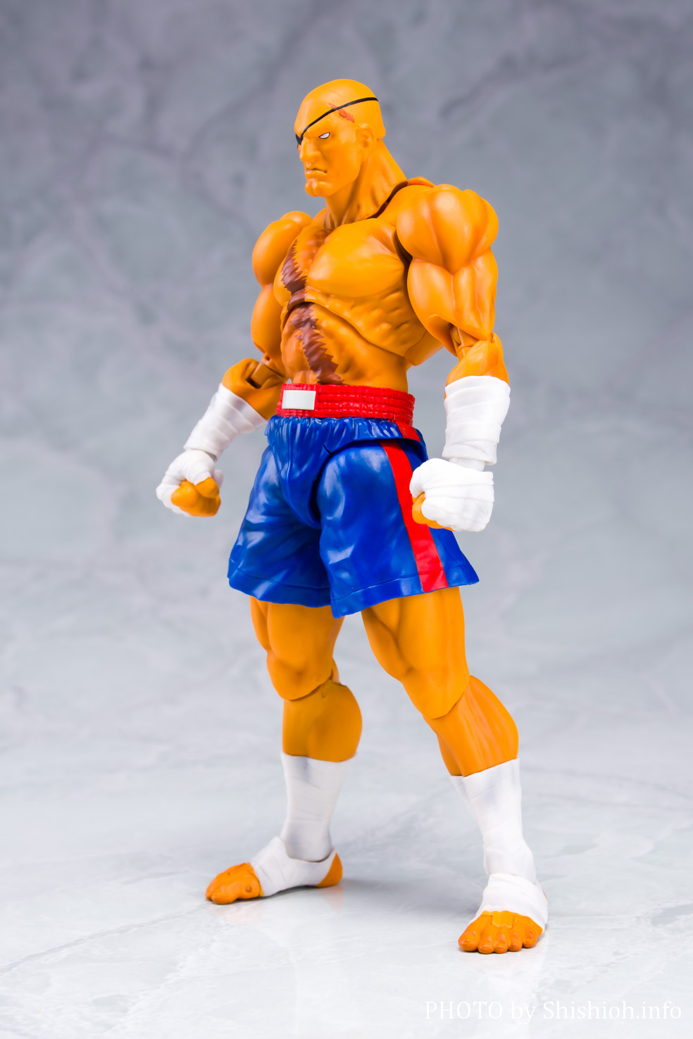 SHFiguarts サガットストリートファイターV フィギュアーツ