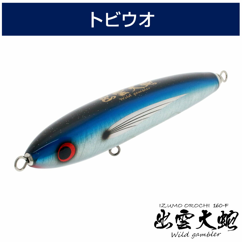 マグロ キャスティング ルアー」の人気商品一覧 | 安い商品を通販