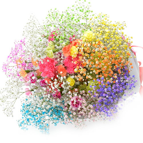 楽天市場】プレゼント 花 ロマンチックかすみ草＜プレミアム・スマイル