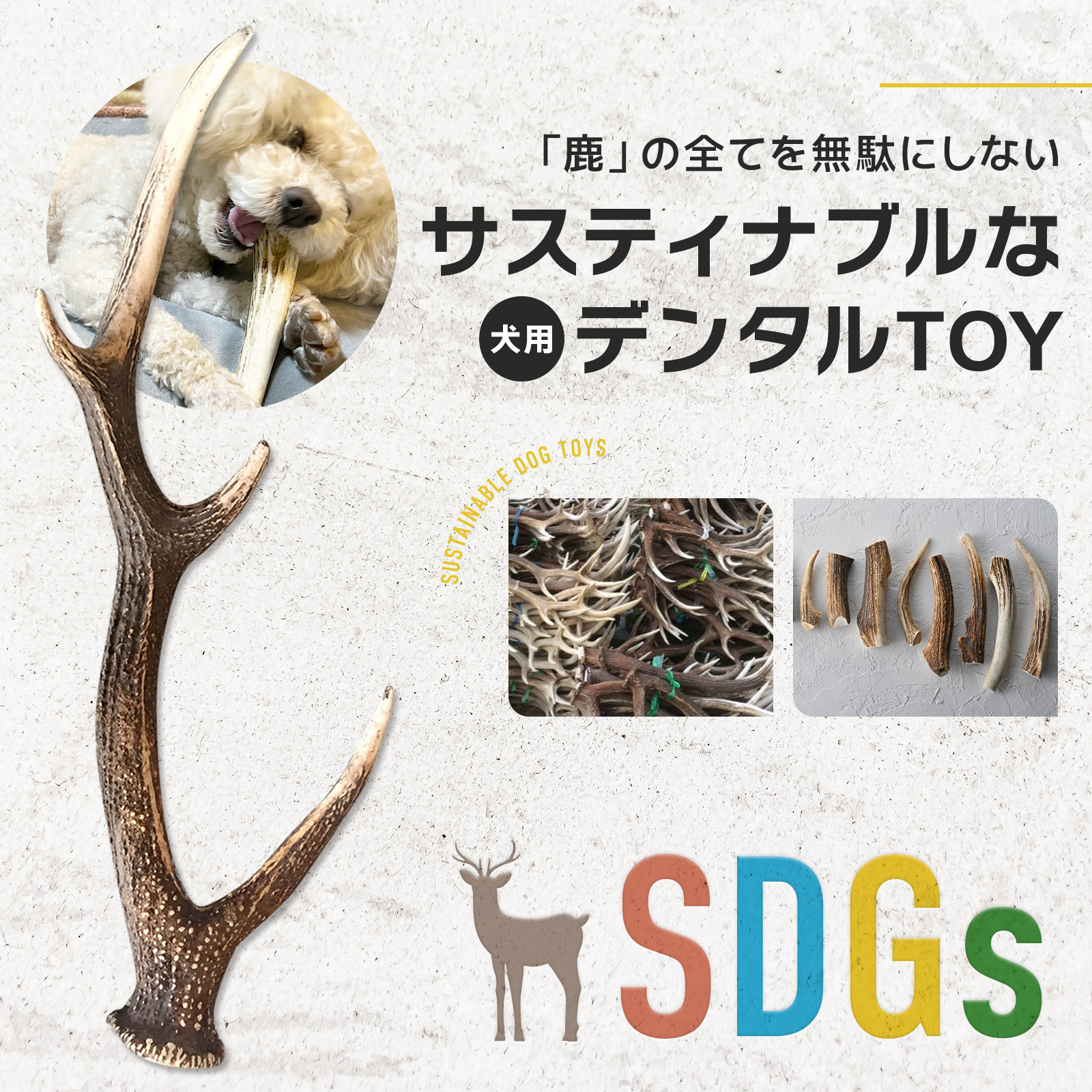 楽天市場】安心のオゾン処理加工◇犬のおもちゃ鹿の角 蝦夷鹿◇北海道