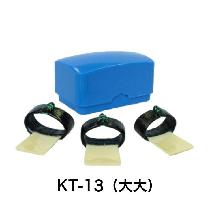 楽天市場】ゼンオン 箏爪（学校教育用） プラスチックケース入り 箏爪