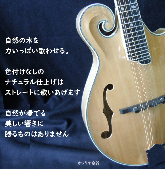 楽天市場】フラットマンドリン総単板シダー・ハードケースセット f60c