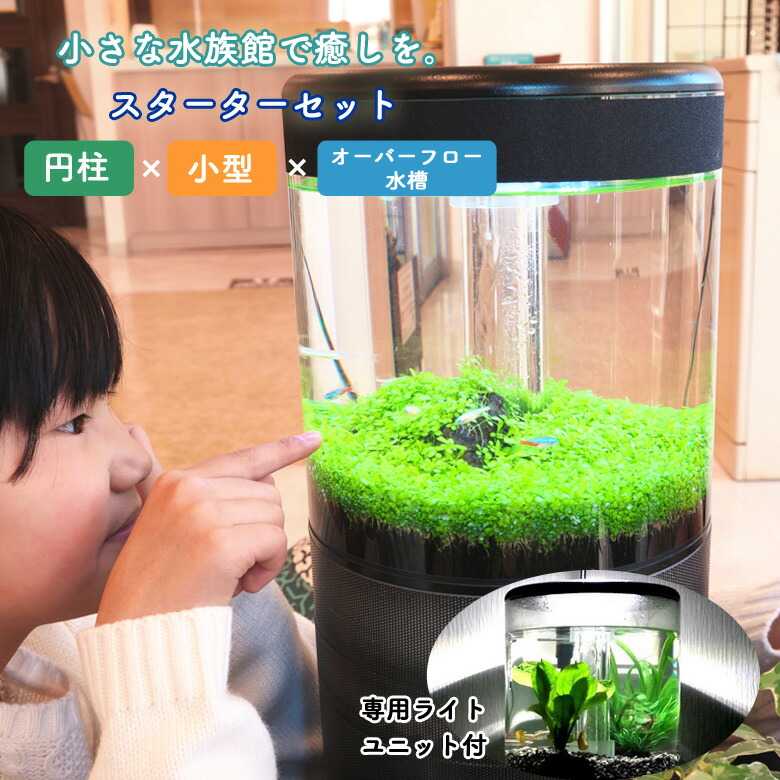 楽天市場】溢水 いっすい【専用ライトユニット付】スターターセット