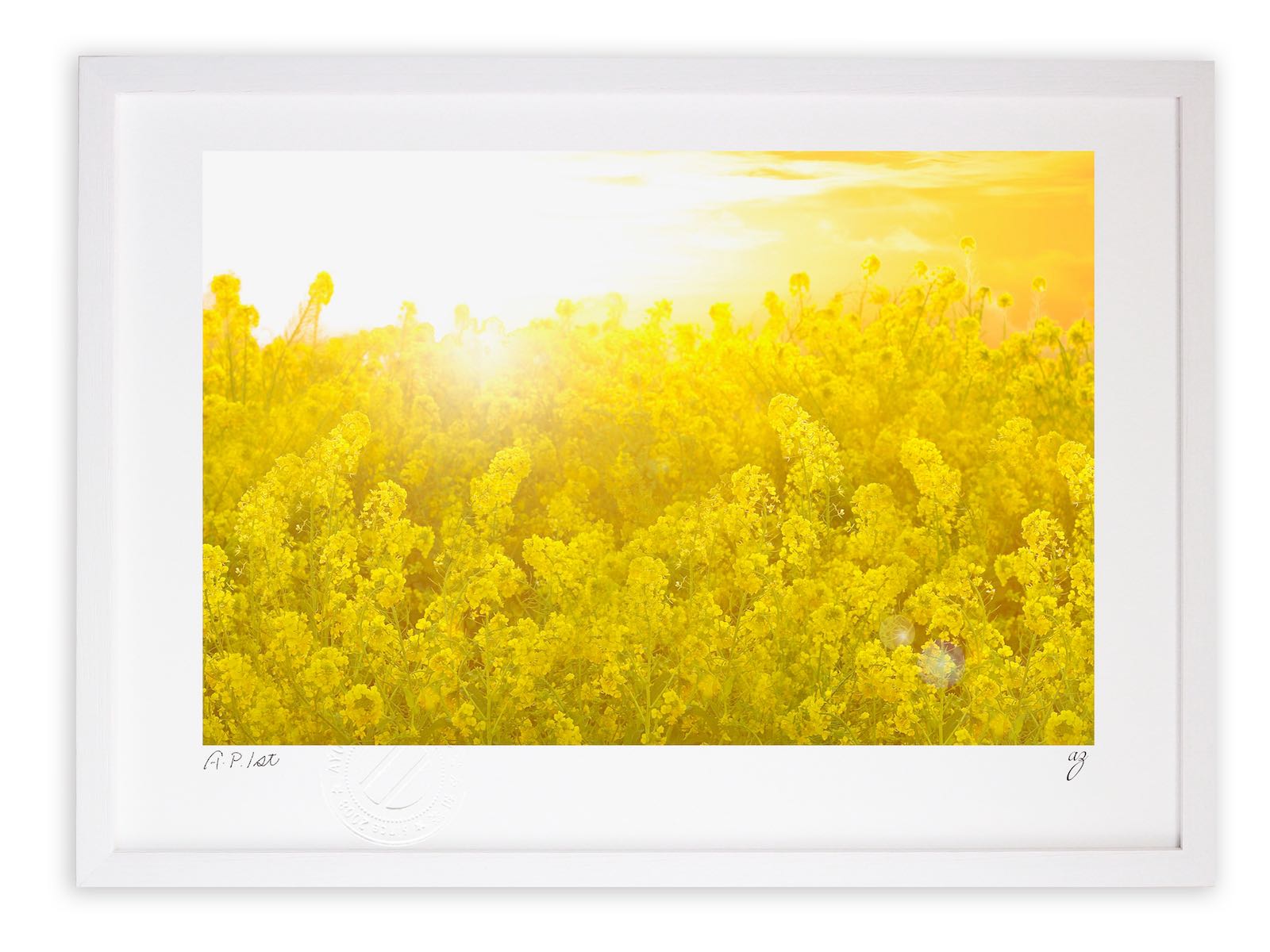楽天市場】版画 絵画菜の花畑と太陽01/インテリア 額入り 額装込 風景