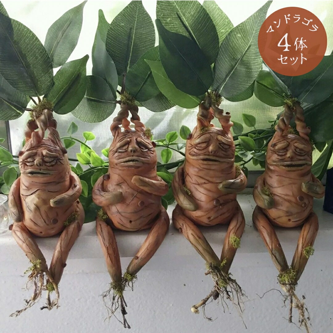 楽天市場】【人気商品】 置物 マンドラゴラ 4個セット マンドレイク風