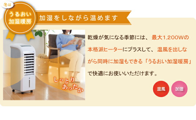 楽天市場】【クーポンで5000円OFF！2/23 23:59まで】ゼンケン スリム