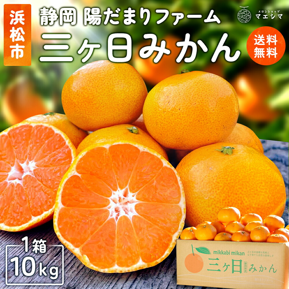 楽天市場】【送料無料】 陽だまりファーム 三ヶ日みかん 約10kg 産地
