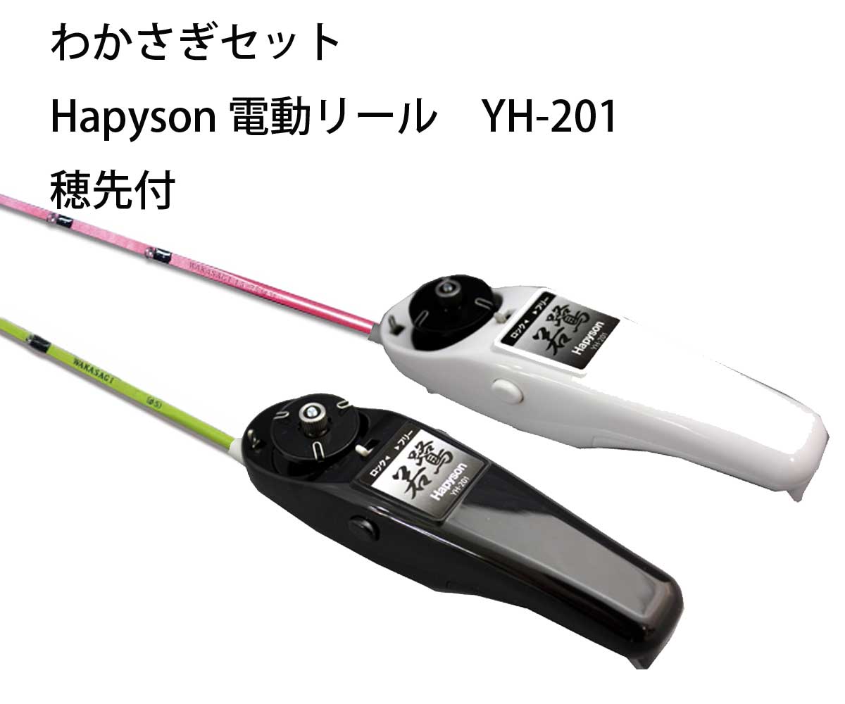 楽天市場】わかさぎセット 極技ワカサギ替え穂先 25cm HAPYSON 電動