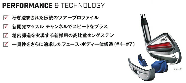 楽天市場】Titleist タイトリスト日本正規品 T100Sアイアン NSPRO105T