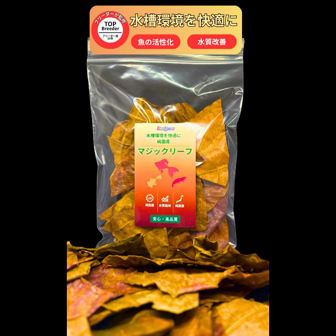 楽天市場】【BeeQuest】 マジックリーフ(ちぎりタイプ) 高濃度フルボ酸