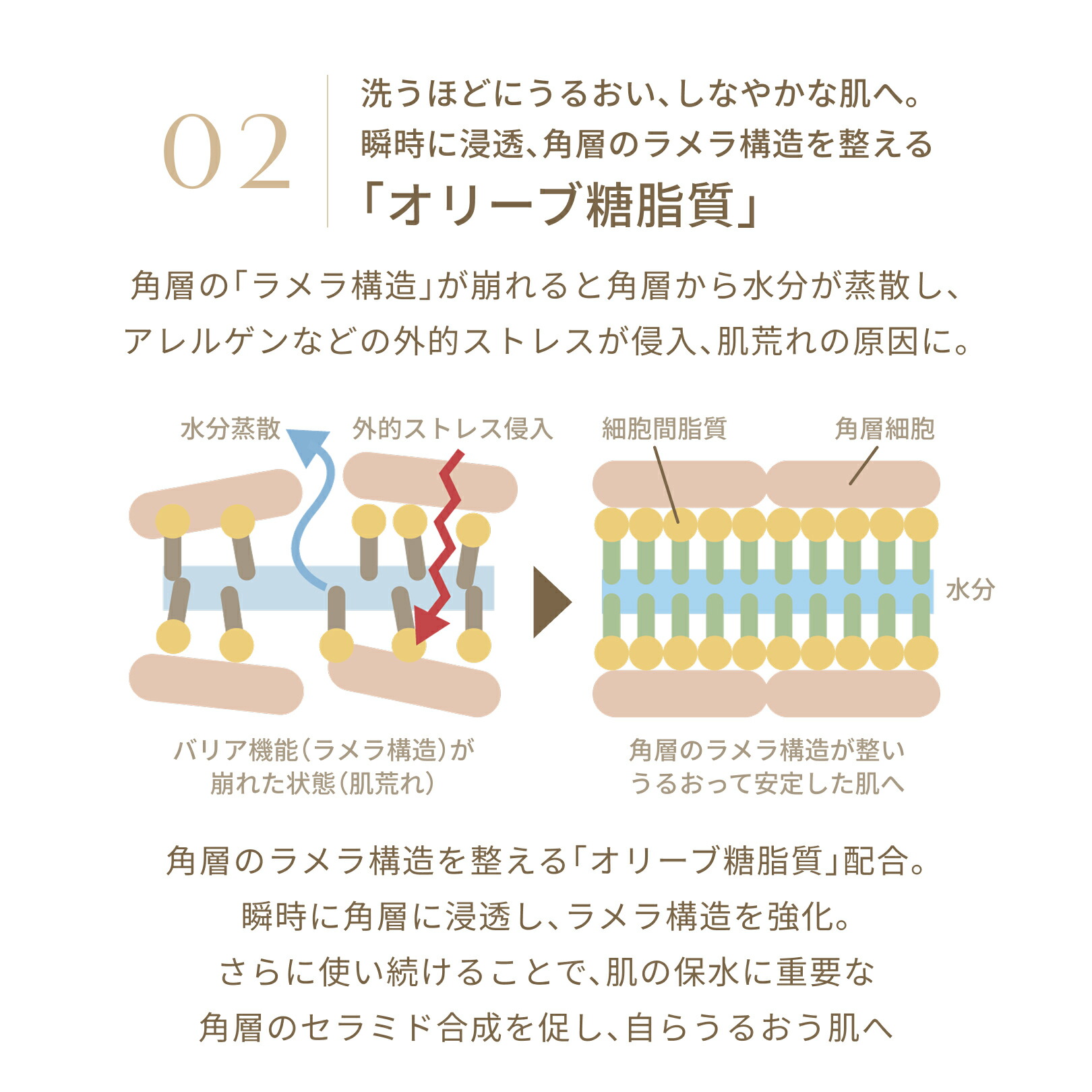 楽天市場】FATUITE公式 ピュリファイン ディープクレンジングジェル