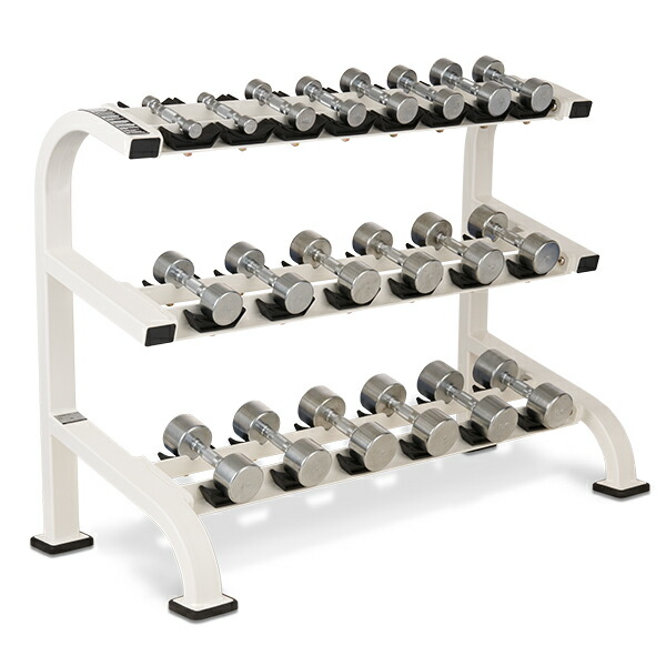 ホームジムdx ベンチ台 10kgダンベル✖️2 懸垂機セット ホームジムdx