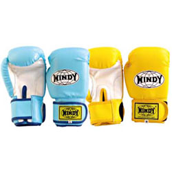 楽天市場】◇格闘技キャンペーン◇ キッズ・レディース用ボクシング