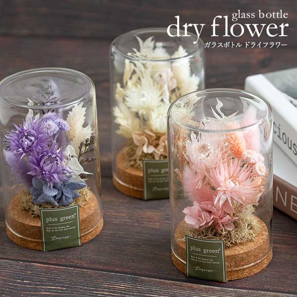 楽天市場】ドライフラワー ガラスドーム ガラスボトル 花 ボトル