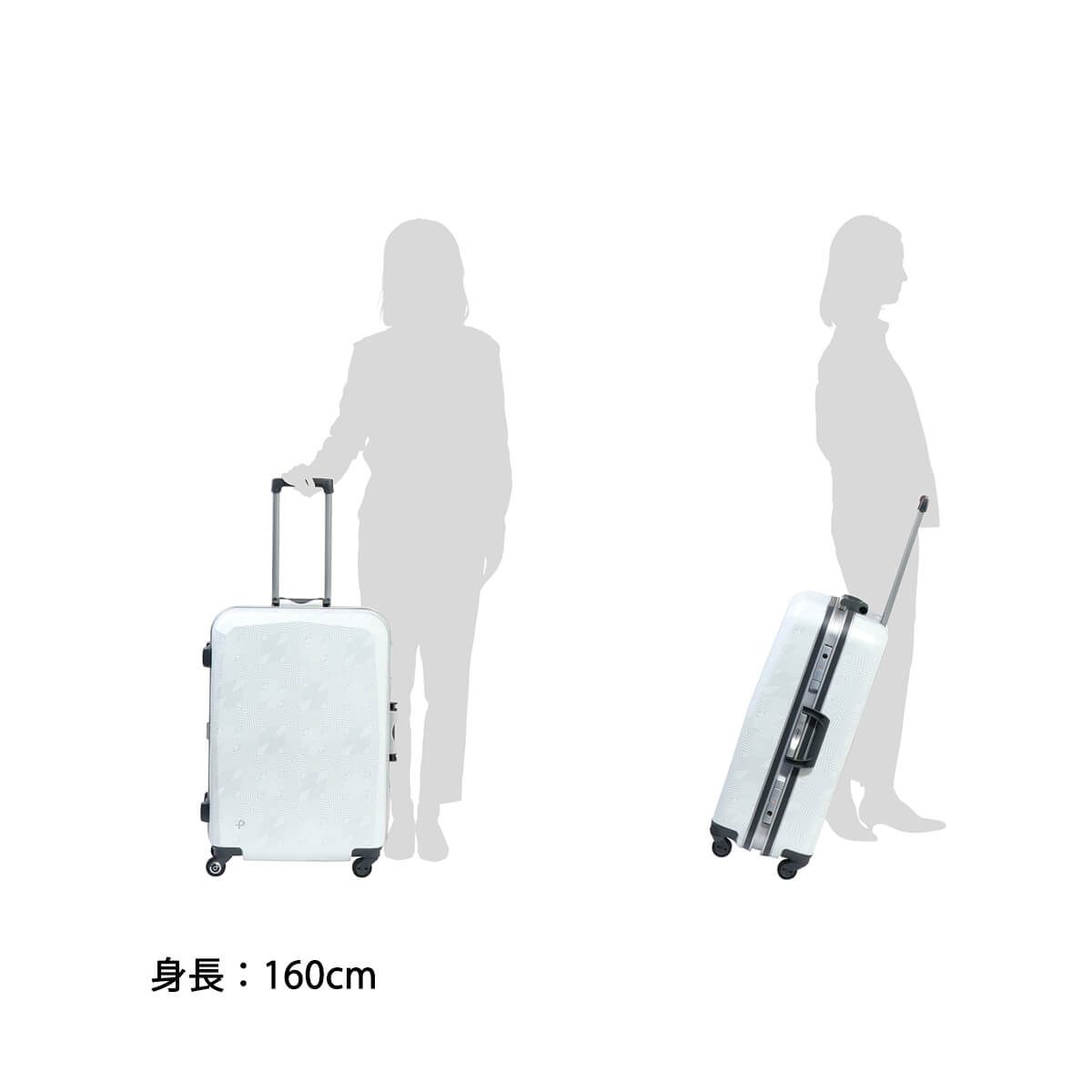 楽天市場】【土日限定 最大48倍】 ノベルティ付 【正規品10年保証