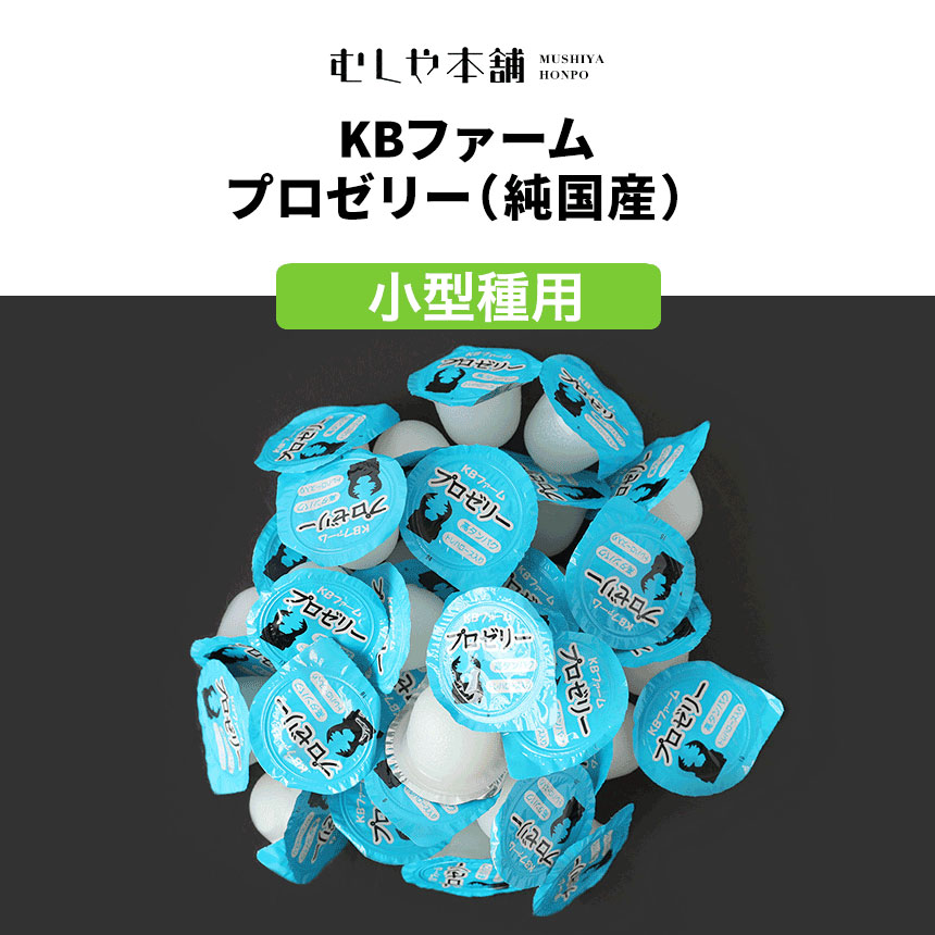 楽天市場】むしや本舗 食いつき抜群! プロゼリー（KBファーム社製）純