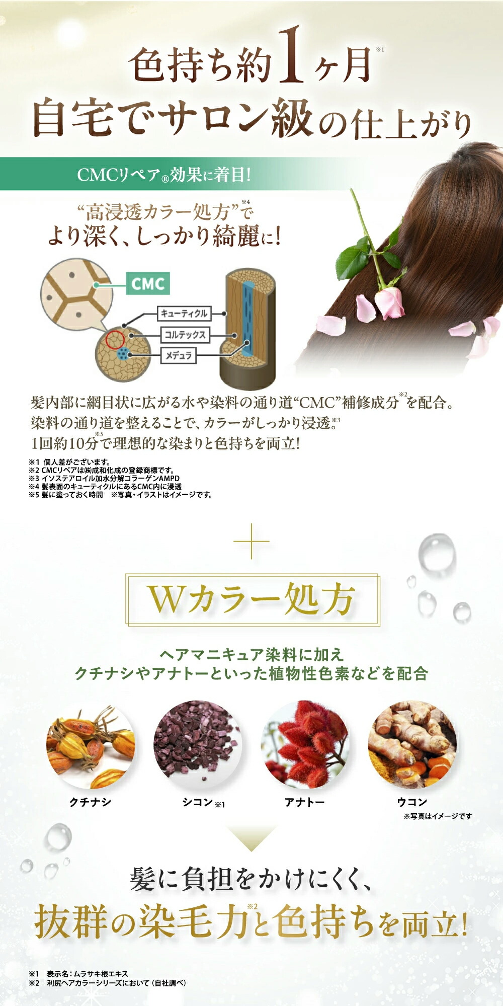 楽天市場】【今だけ P10倍】白髪用 利尻カラークリーム 170g×2本セット