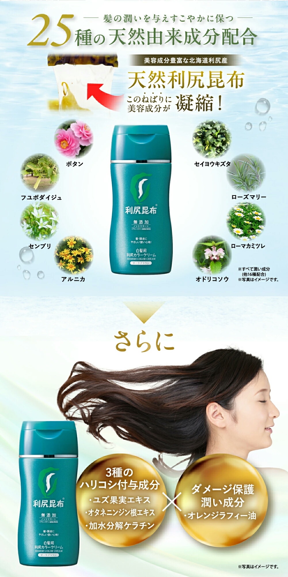 楽天市場】【今だけ 送料無料】白髪用 利尻カラークリーム 170g サロン