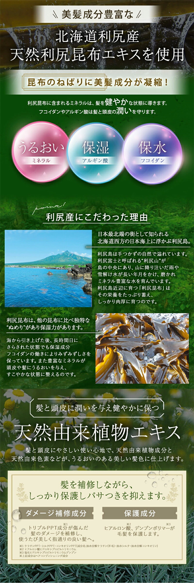 楽天市場】白髪用 利尻カラーシャンプー 200ml / ヘアカラー 利尻昆布