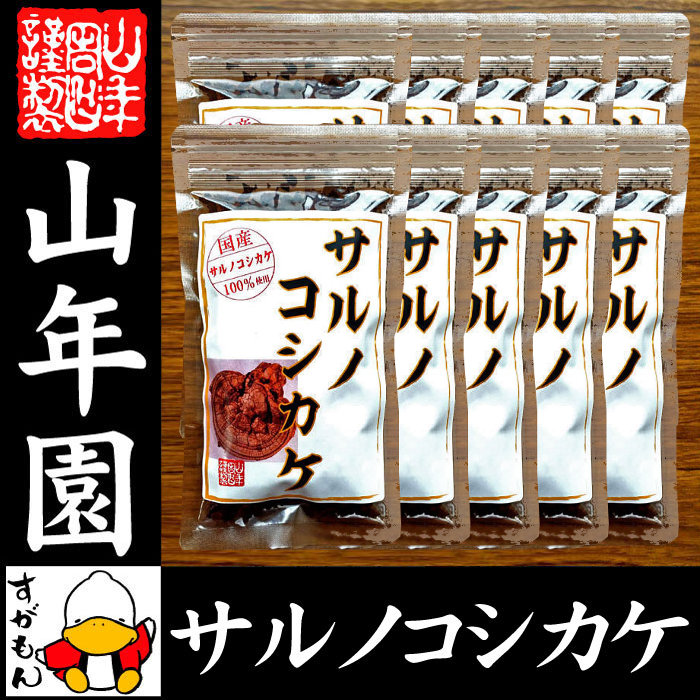 楽天市場】【国産 100%】サルノコシカケ茶 70g×10袋セット 宮崎県産