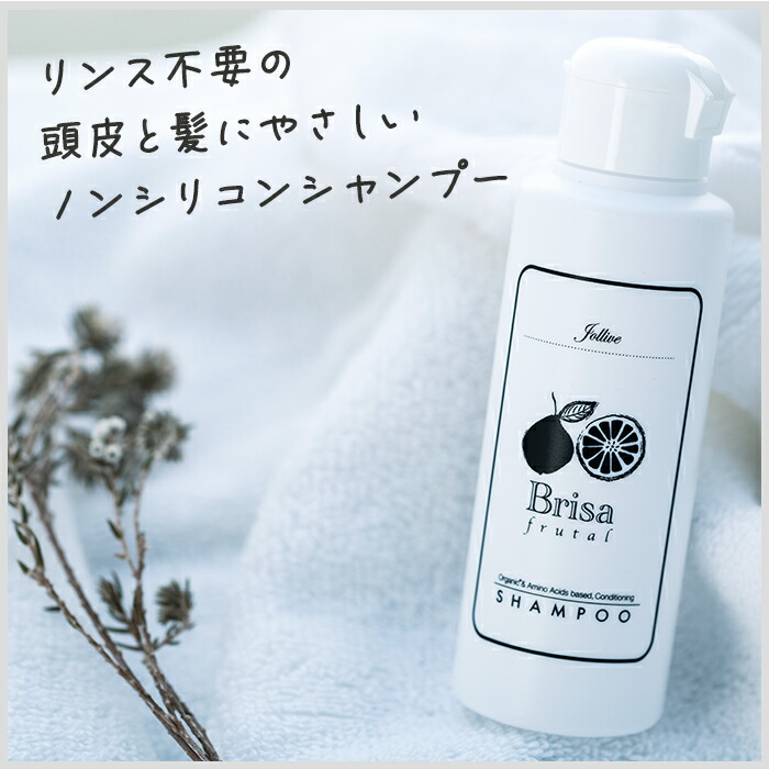 楽天市場】【ふるさと納税】ブリッサフルータル シャンプー ノン