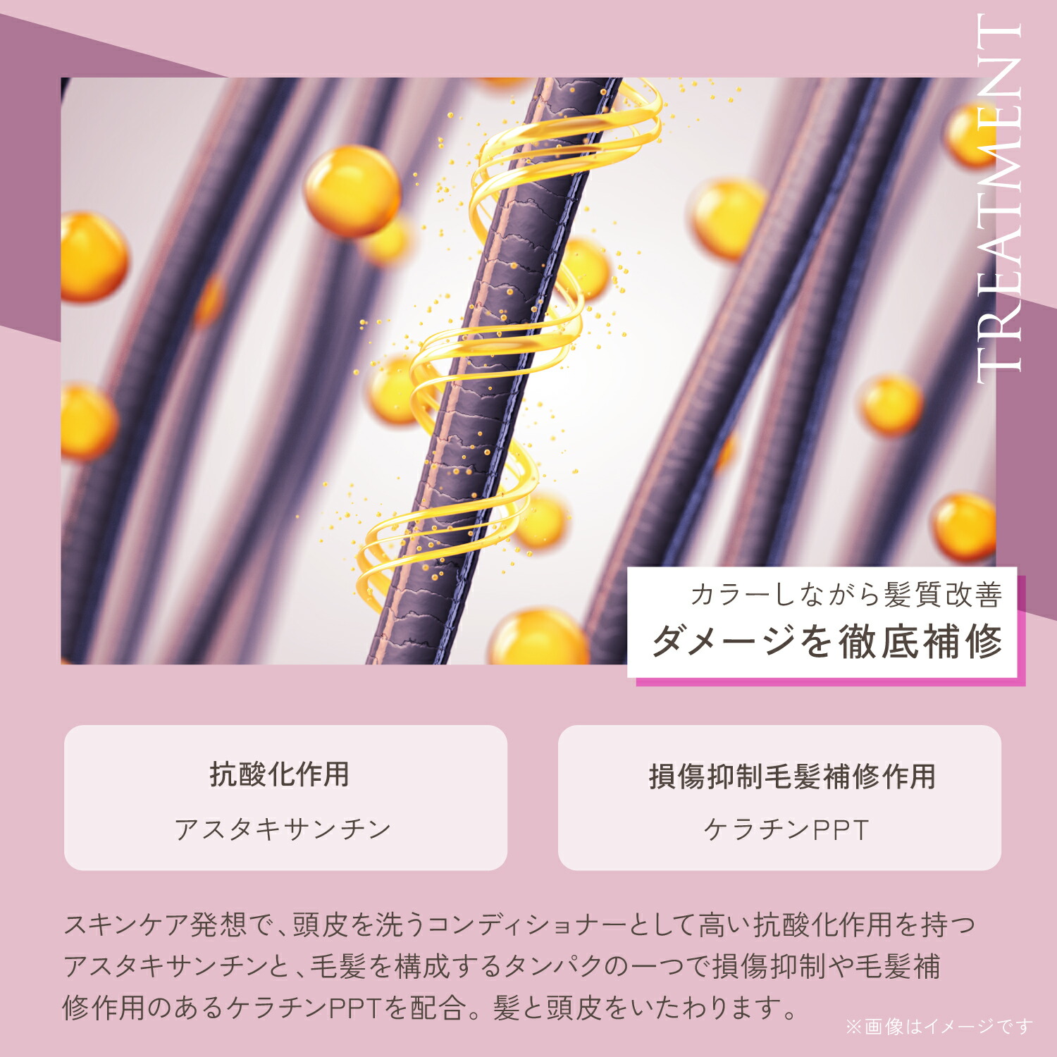 楽天市場】公式 25%OFFクーポン 【 KYOGOKU ロゼカラーフォーム