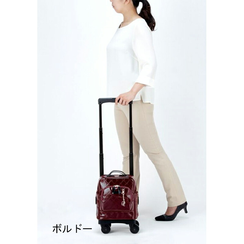 楽天市場】スワニー キャリーバッグ 公式 エマイロVI TS15 2色展開