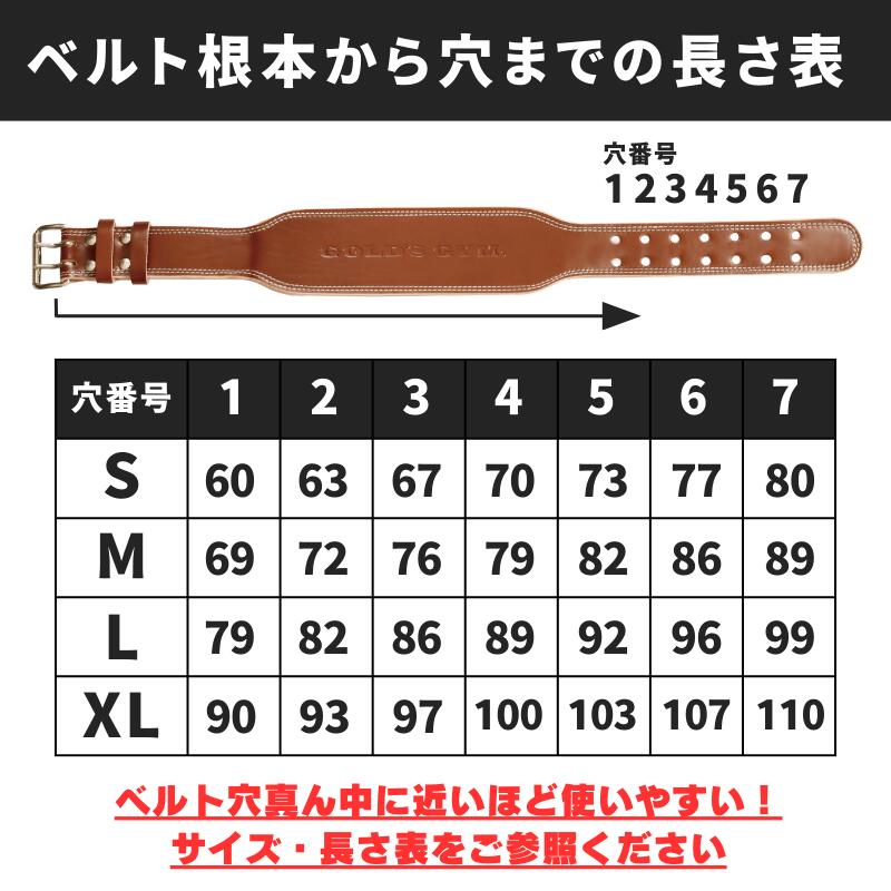 楽天市場】【一部入荷まち】【公式サイト】GOLD'S GYM ゴールドジム