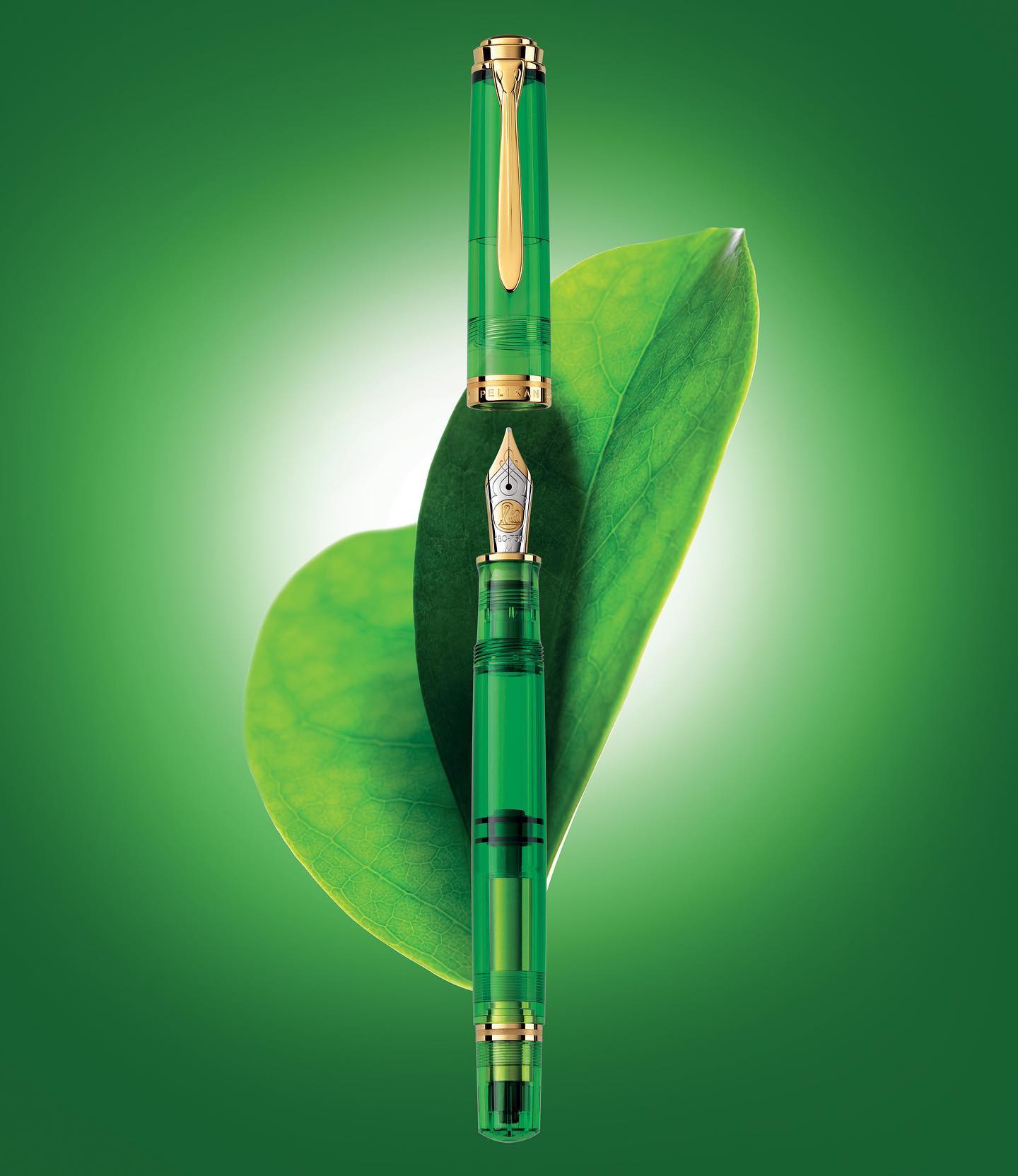 楽天市場】【PEL211】最新作【Pelikan / ペリカン】2023年特別生産品