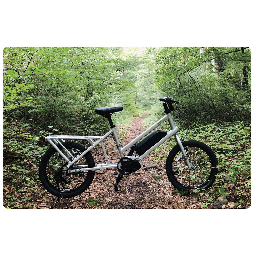 楽天市場】【最大7000円クーポン配布中】【2019モデル】BIANCHI