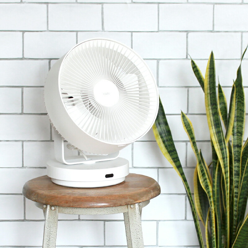 楽天市場】【特典付】サーキュレーター カドー cado 除菌