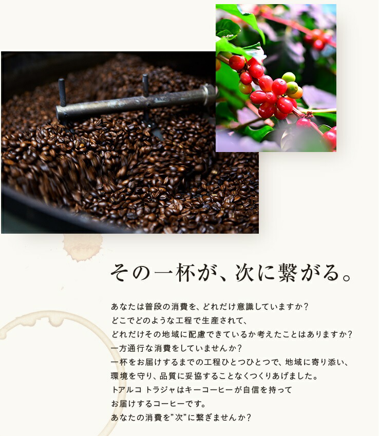 楽天市場】トアルコ トラジャ 豆 200g × 1個 スペシャルティコーヒー