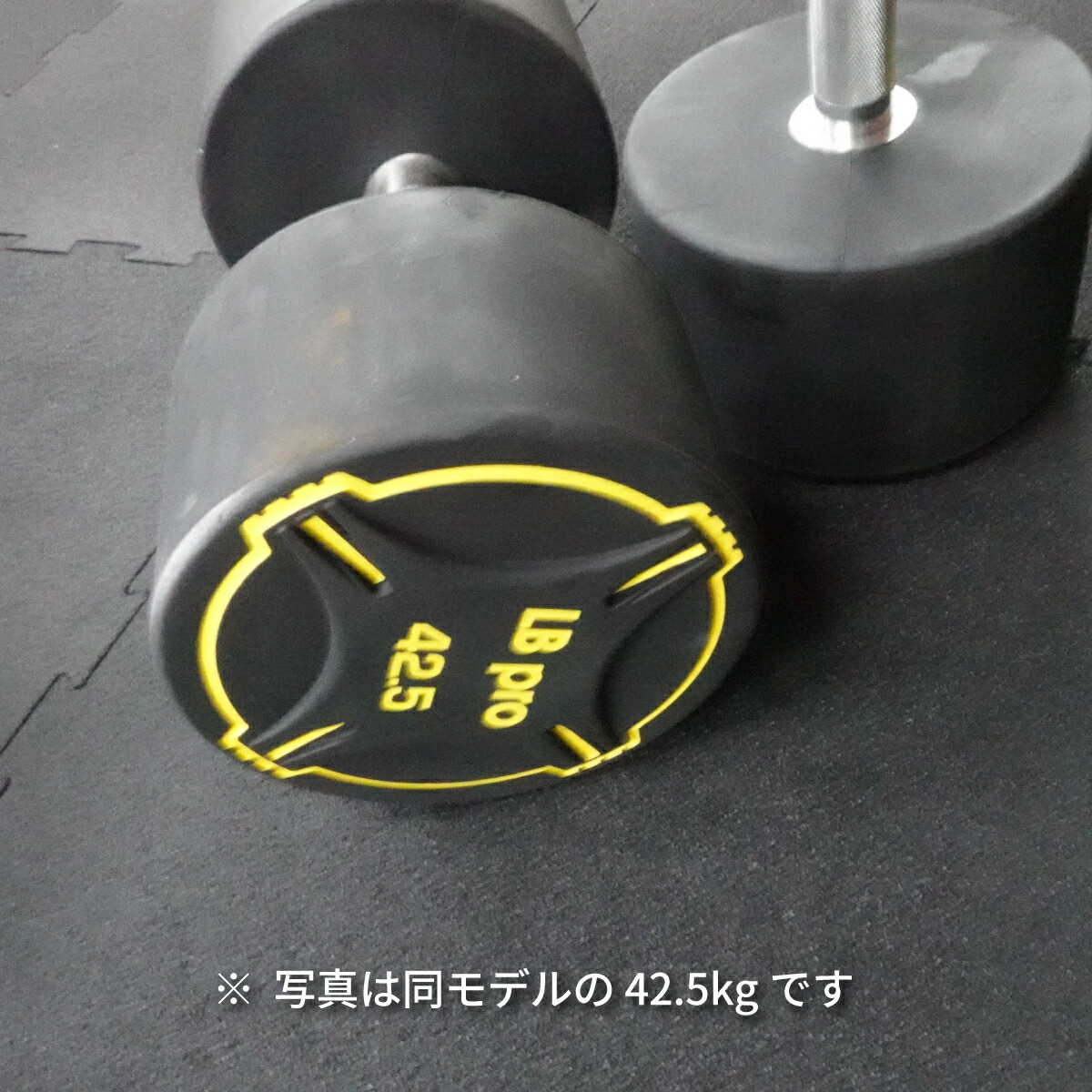 TPUダンベル 20kg 2個 tpu-200-01.jpg