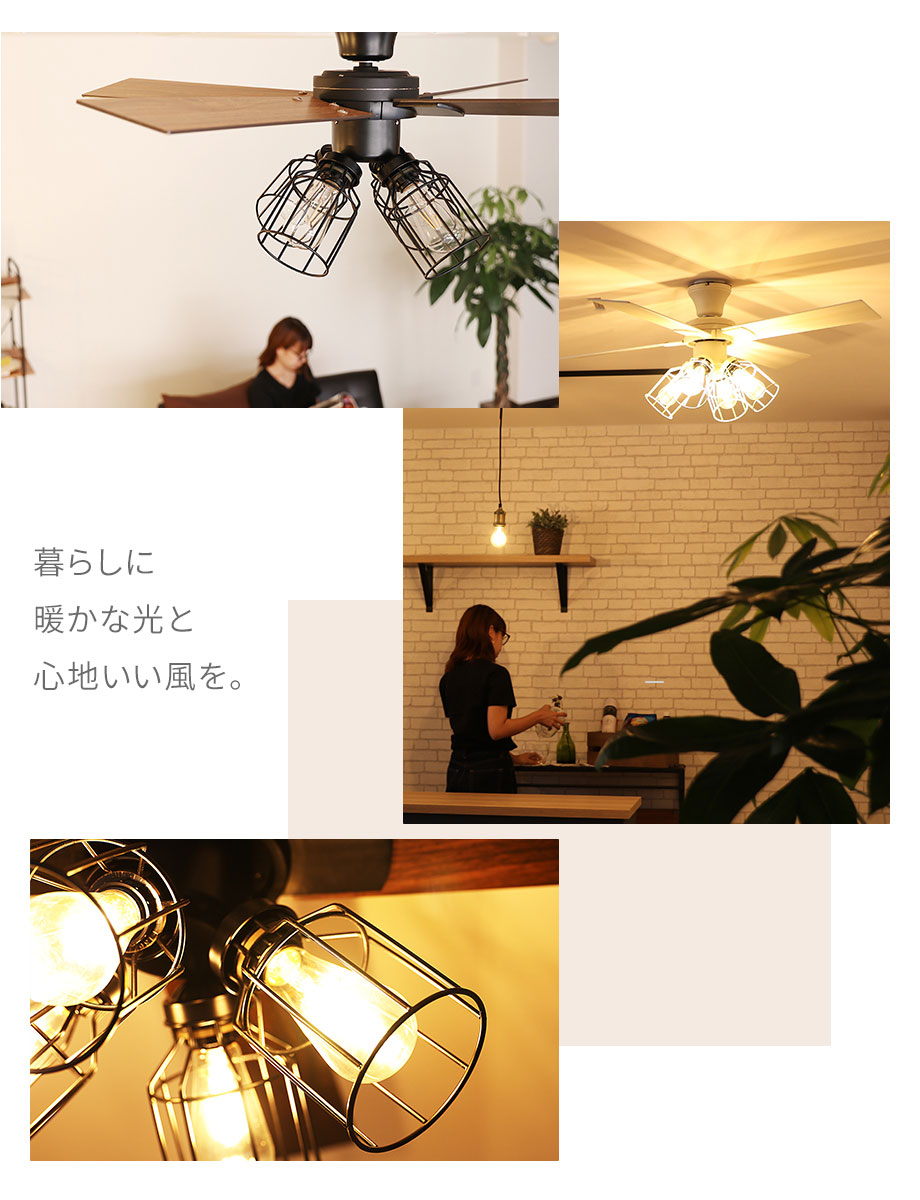 楽天市場】マラソン期間クーポン配布&ポイント2倍!【公式】【今だけ5年