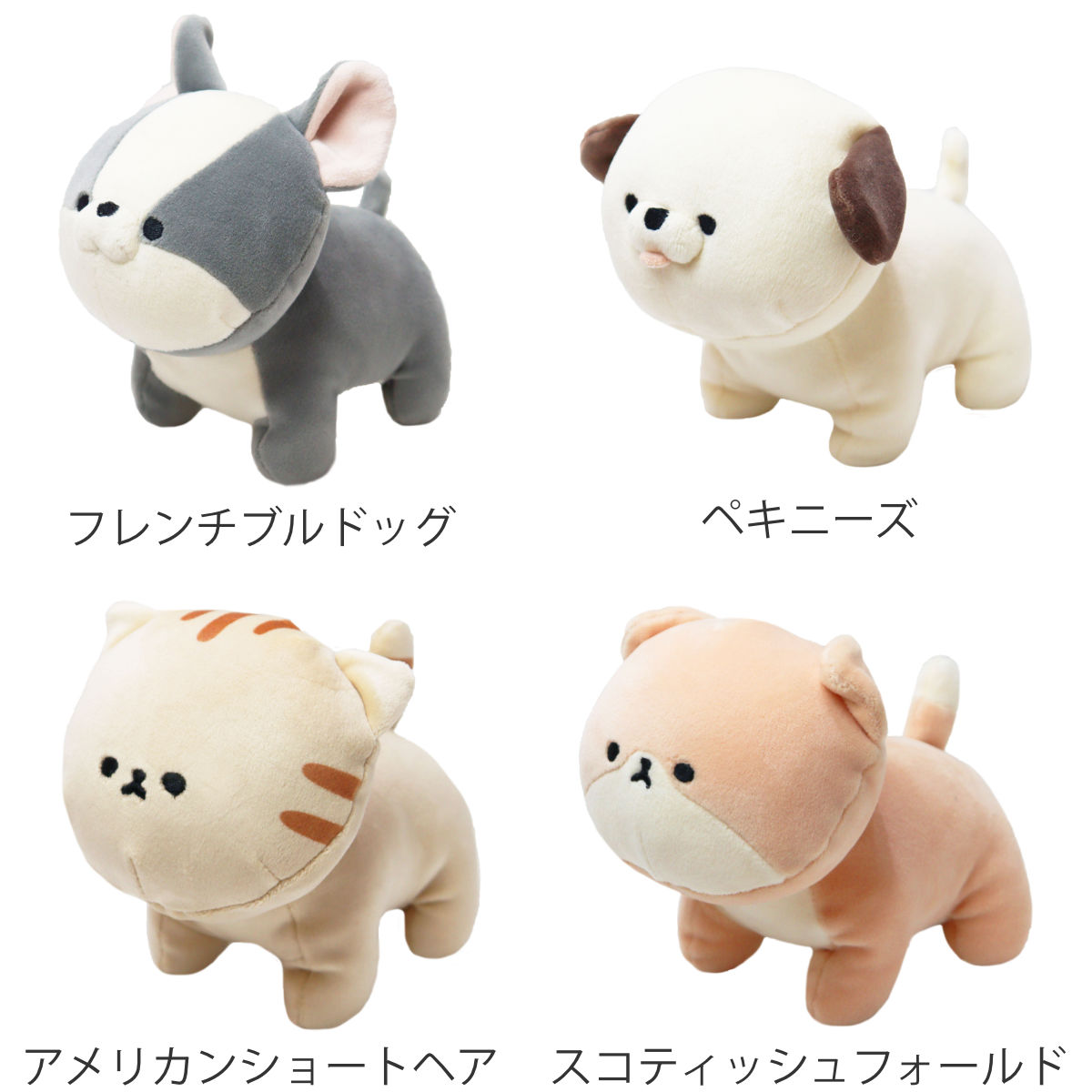 楽天市場】ぬいぐるみ mofmofriends テノリマスコット イヌ ネコ