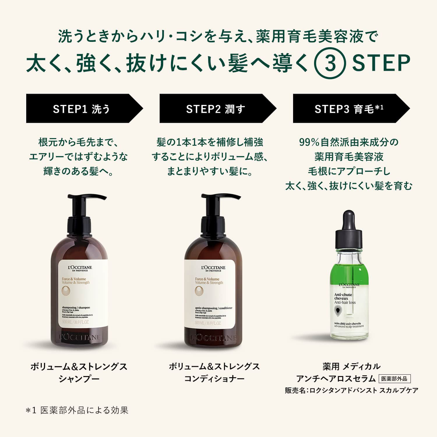 楽天市場】【公式】ロクシタン L'OCCITANE アドバンスドスカルプケア