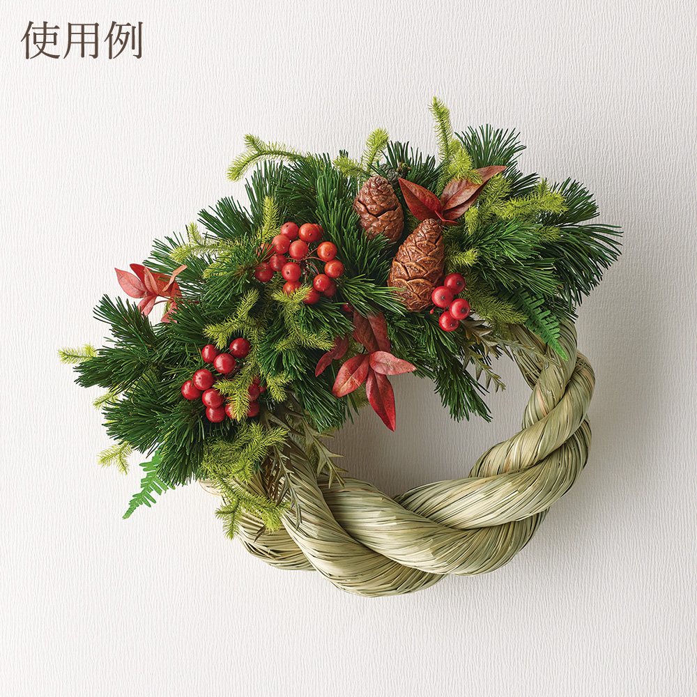 楽天市場】ドライフラワー 花材 とりよせ品 サンキライの実・チップ 花