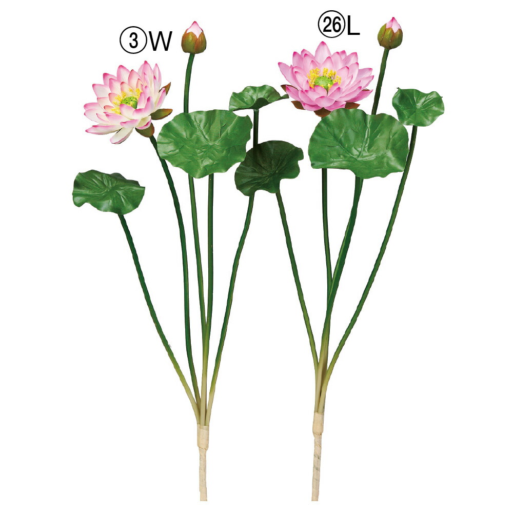 楽天市場】【P15倍中 2/24 9:59まで】 造花 仏花 とりよせ品 ロータス