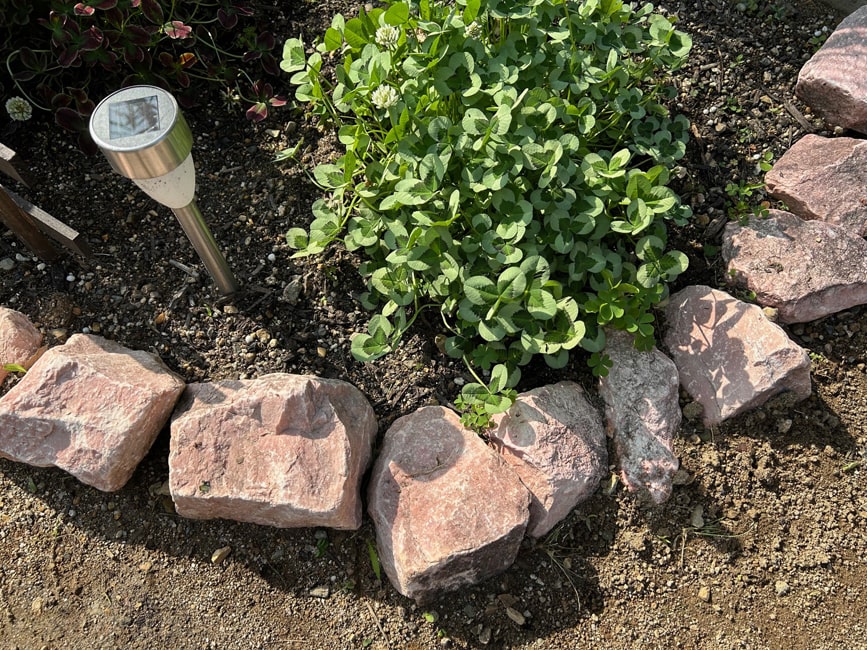 新潟産 桜石 300キロ 庭石 鑑賞石 石 石材 割栗石 庭 ガーデニング