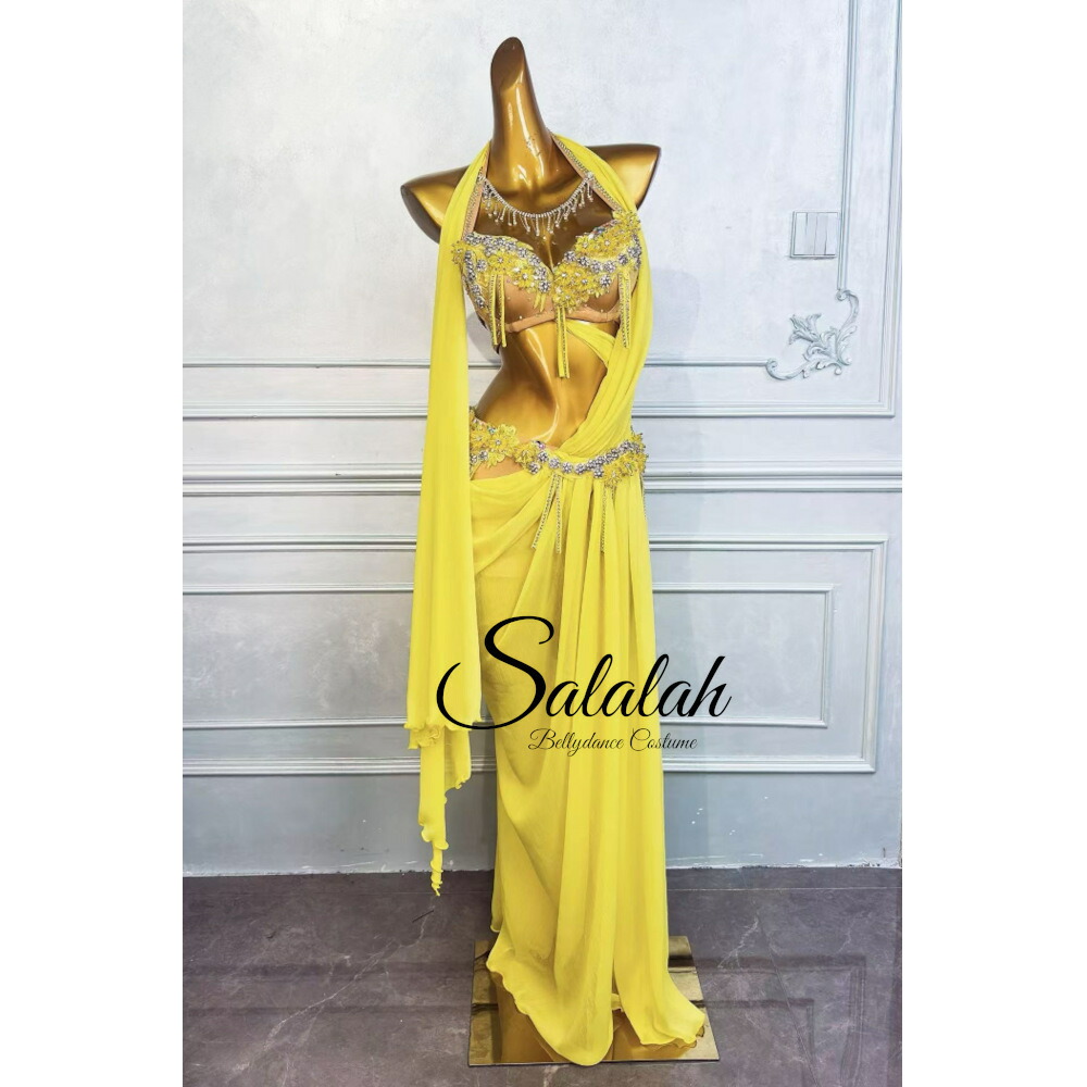 楽天市場】ベリーダンスオリエンタル衣装 ブラ、スカート繋ぎデザイン