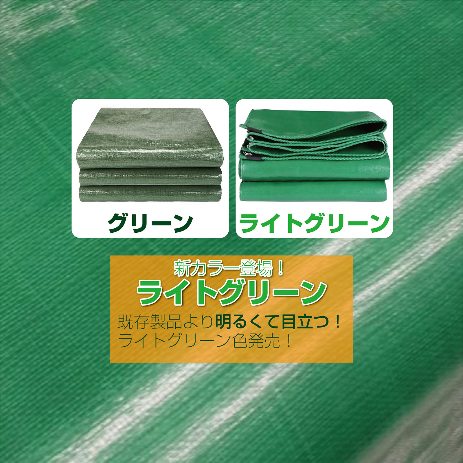 楽天市場】【23日1：59迄使える10％OFFcp！】グリーンシート ブルー