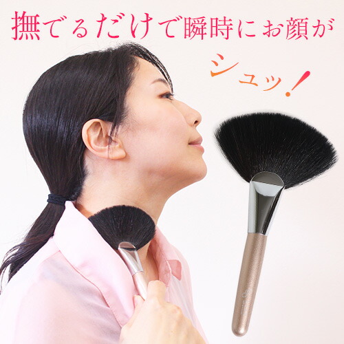 楽天市場】dvd さとう式リンパケアの通販