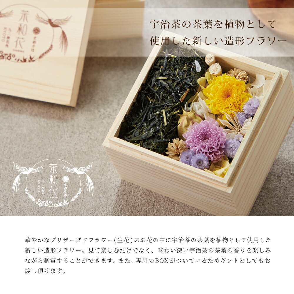 源氏物語 宇治十畳 銘々皿 朝日窯 木箱 懐石 10枚 【公式通販】