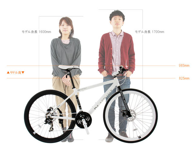 楽天市場】DOPPELGANGER(ドッペルギャンガー) D6 ASPHALT