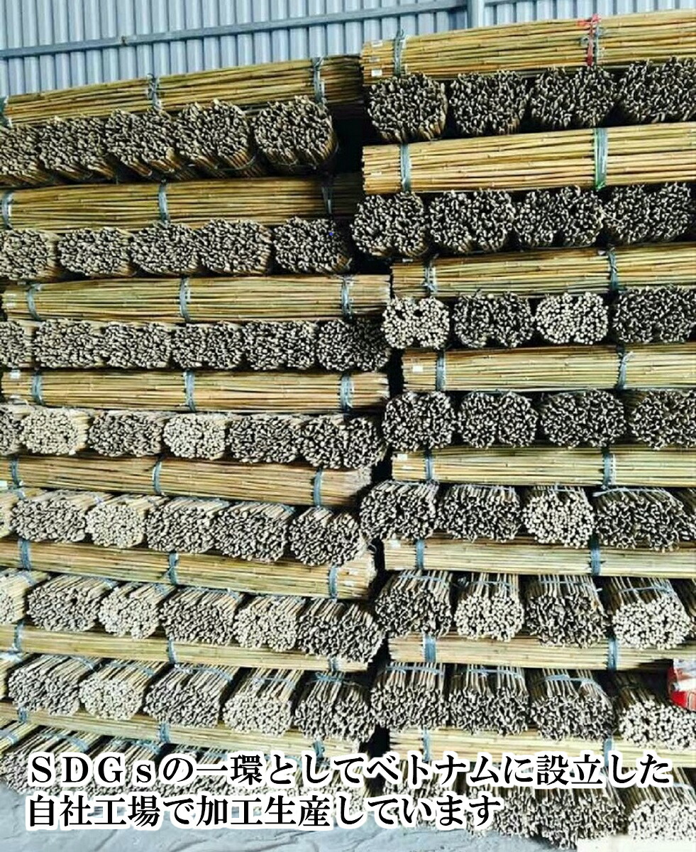 楽天市場】女竹 90cm 20本 篠竹 しの竹 竹支柱 添え木 園芸用 農業用