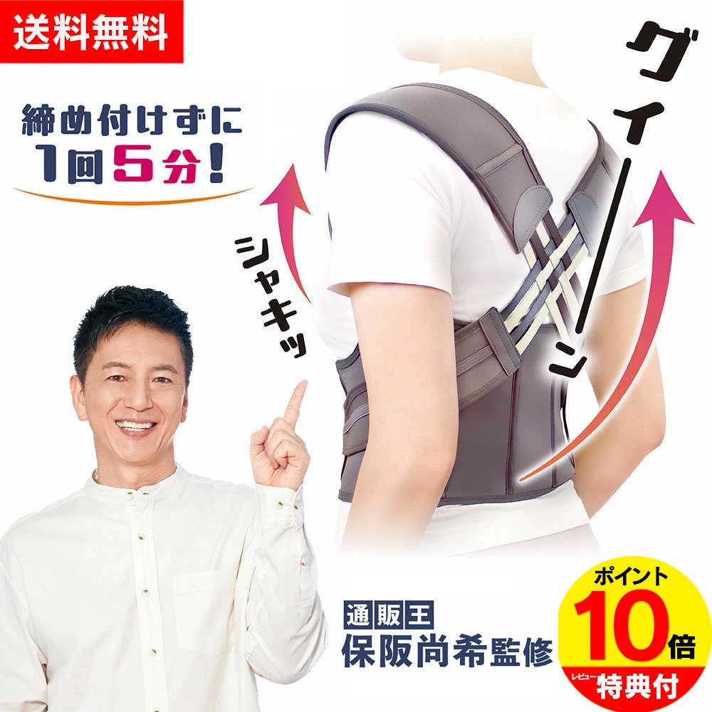 楽天市場】【クーポン配布 2/23/1:59迄】 【送料無料＆ポイント10倍